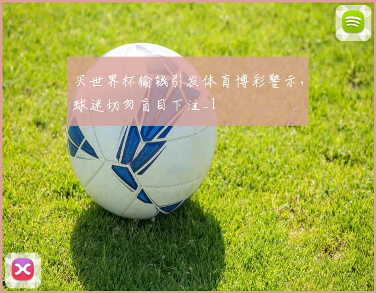 买世界杯输钱引发体育博彩警示,球迷切勿盲目下注_1