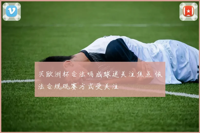 买欧洲杯合法吗成球迷关注焦点 依法合规观赛方式受关注