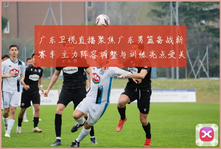 广东卫视直播聚焦广东男篮备战新赛季 主力阵容调整与训练亮点受关注