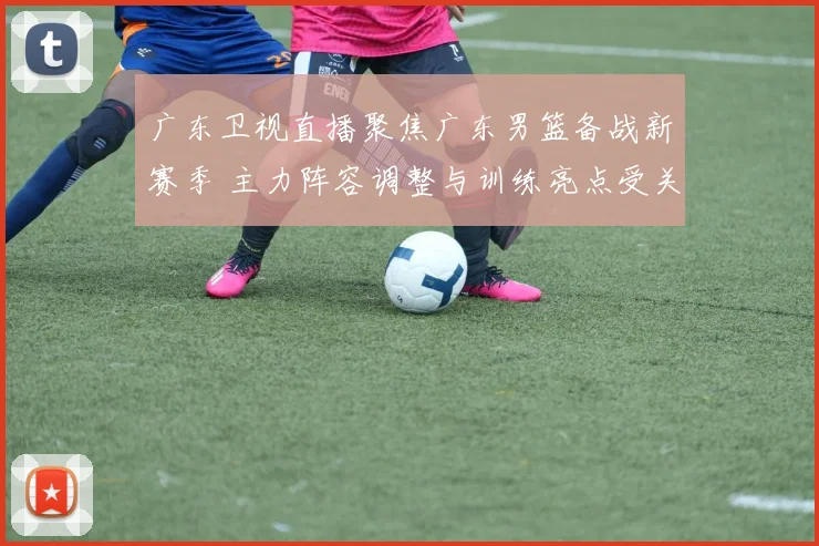 广东卫视直播聚焦广东男篮备战新赛季 主力阵容调整与训练亮点受关注