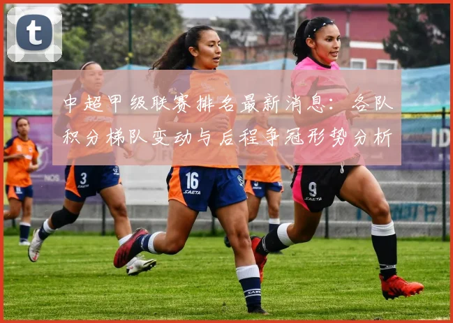 中超甲级联赛排名最新消息：各队积分梯队变动与后程争冠形势分析