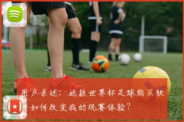 用户亲述：这款世界杯足球购买软件如何改变我的观赛体验？